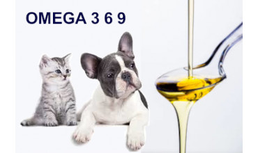 L'IMPORTANZA DEGLI OMEGA 3,6,9